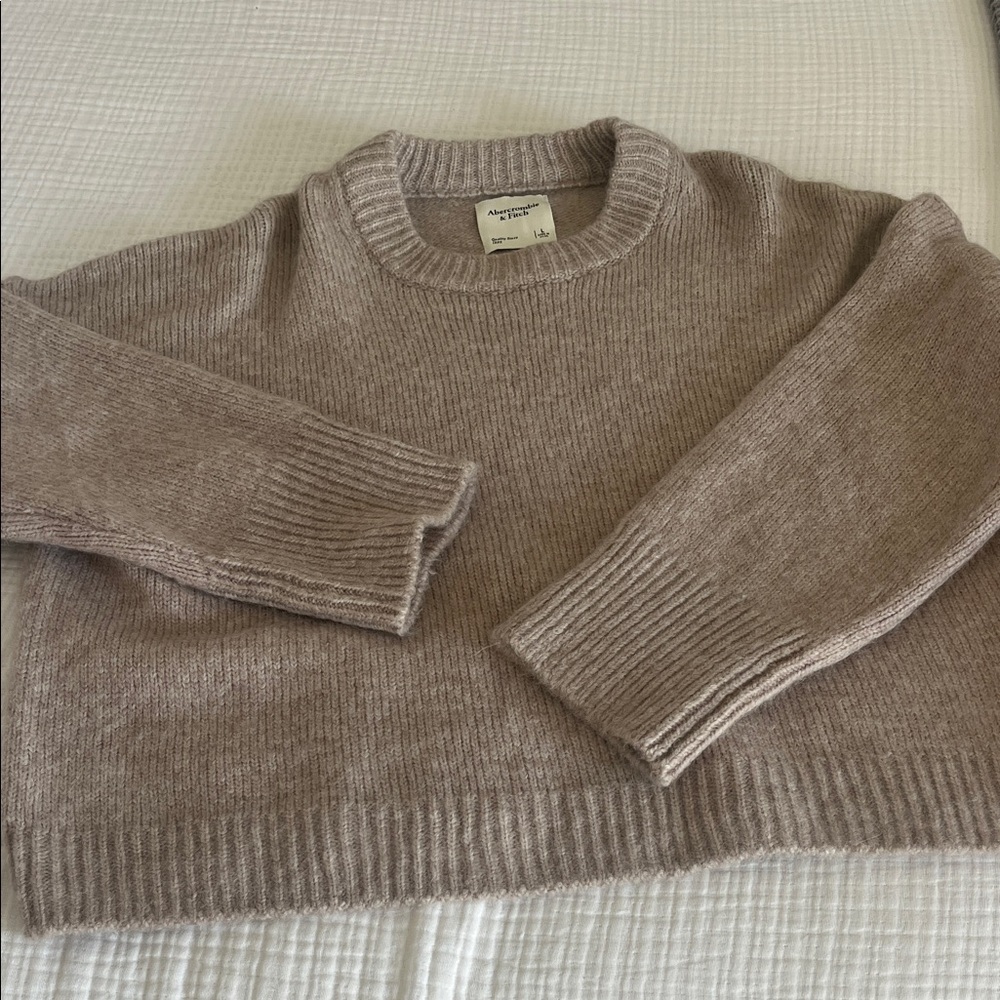Abercrombie & Fitch Women's Brown Crewneck Sweater
